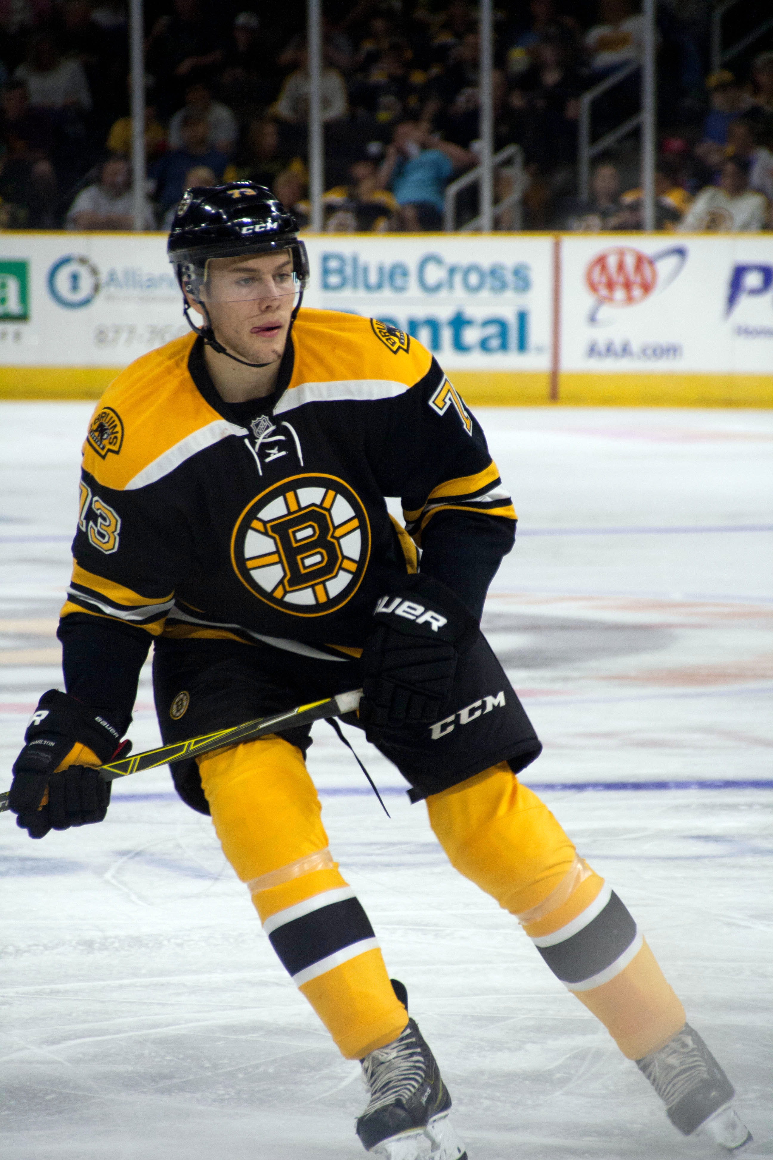 Brandon Carlo
